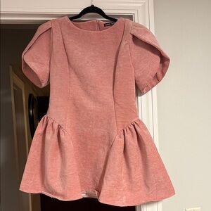 Pink Short Sleeve Peplum Dress -Petite